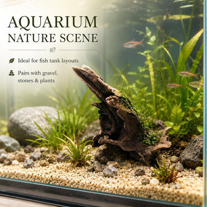 Natural Driftwood Tree Decoration for Aquarium, Fish Tank Plant Stump Ornament, Random Style(5-10cm)