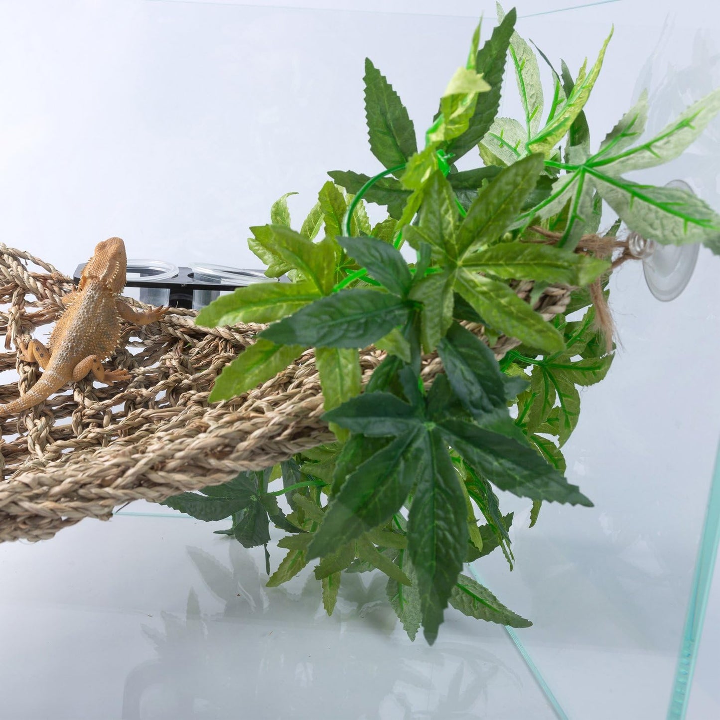 Reptile Plants Hanging Silk Terrarium Plants with Suction Cup for Bearded Dragons,Lizards,Geckos,Snake Pets and Hermit Crab Tank Habitat Decorations,Small Size,12 inches