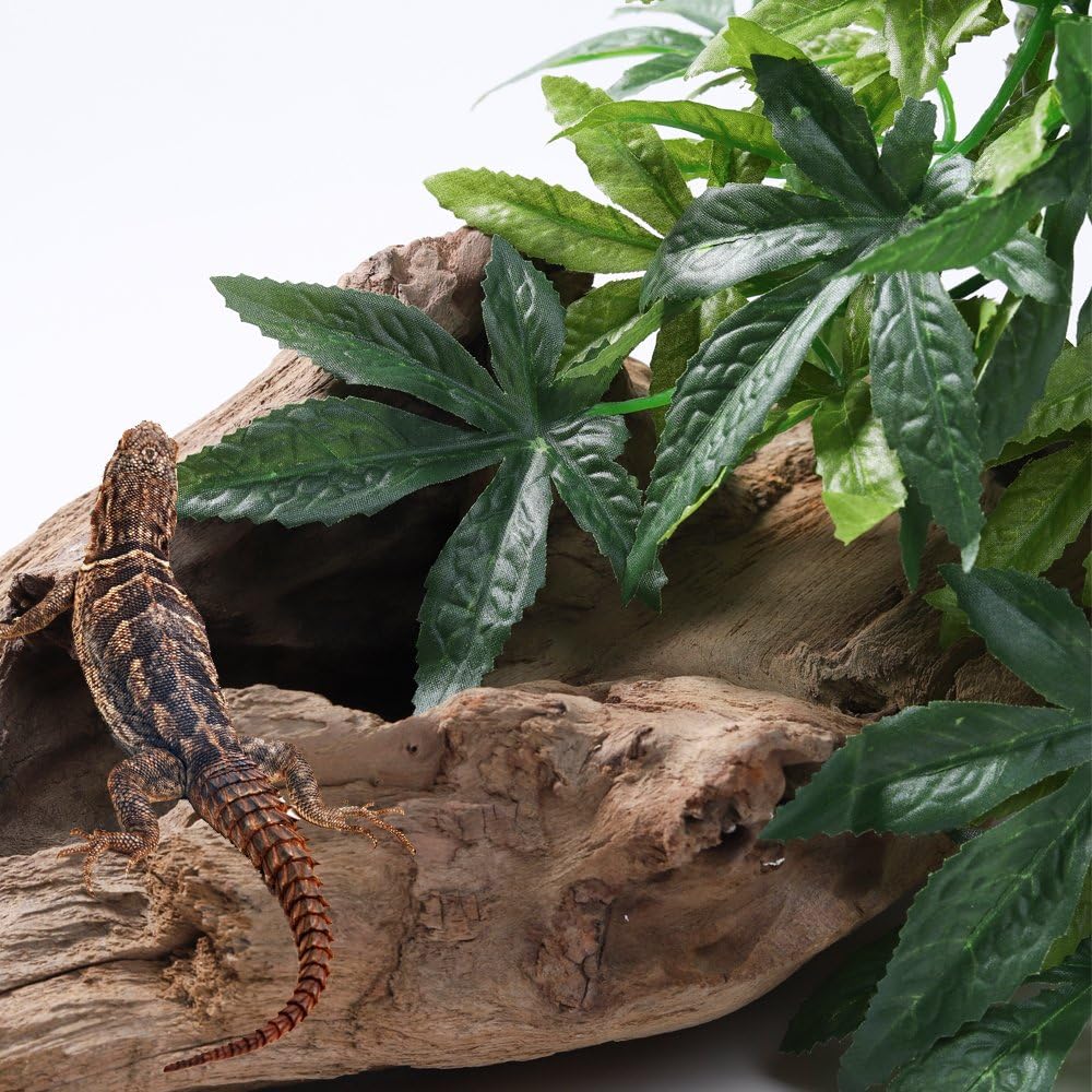 Reptile Plants Hanging Silk Terrarium Plants with Suction Cup for Bearded Dragons,Lizards,Geckos,Snake Pets and Hermit Crab Tank Habitat Decorations,Small Size,12 inches