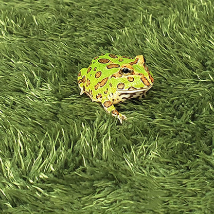 Reptile Accessory Imitation Lawn Decorative Mat for Turtle Tank