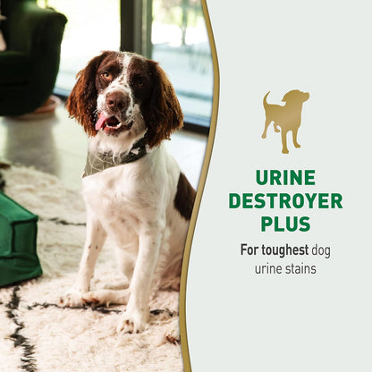 Urine Destroyer Plus for Dogs, Enzymatic Formula Tough on Strong Dog Urine and The Yellow Sticky Residue, 1 Gal