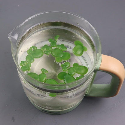 54 Pack Floating Aquarium Plants Artificial Plastic Fake Duckweed Simulation (3 Size)