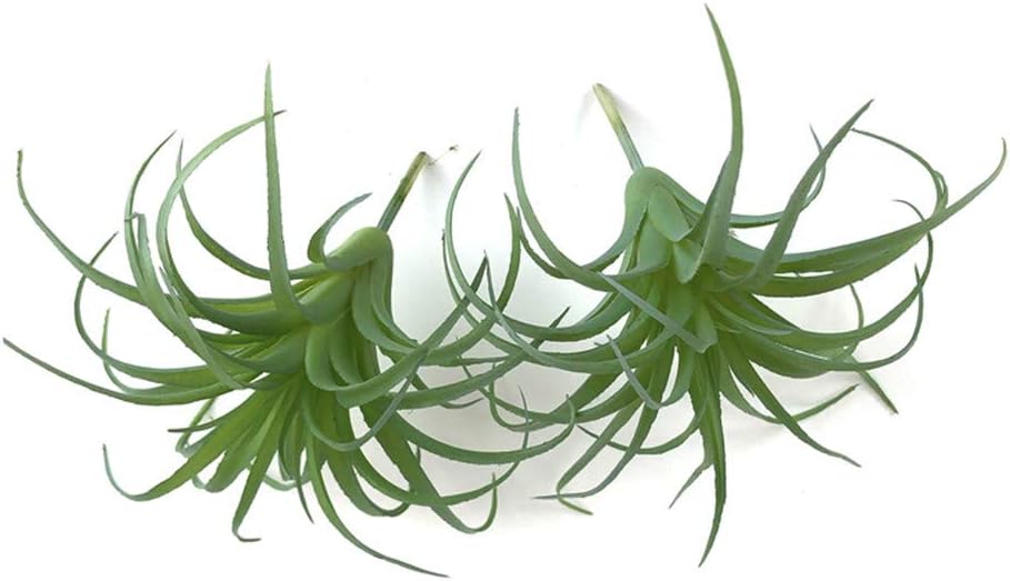 2 PCS Mini Artificial Succulents Plants Unpotted Faux Cactus Fake Succulent Bouquet Arrangements Faux Plants DIY for Garden Decor Home Decoration Greenery Set (Mini Cactus)