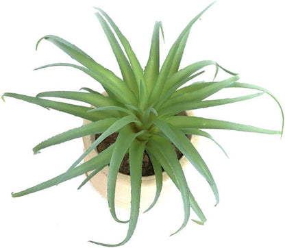 2 PCS Mini Artificial Succulents Plants Unpotted Faux Cactus Fake Succulent Bouquet Arrangements Faux Plants DIY for Garden Decor Home Decoration Greenery Set (Mini Cactus)