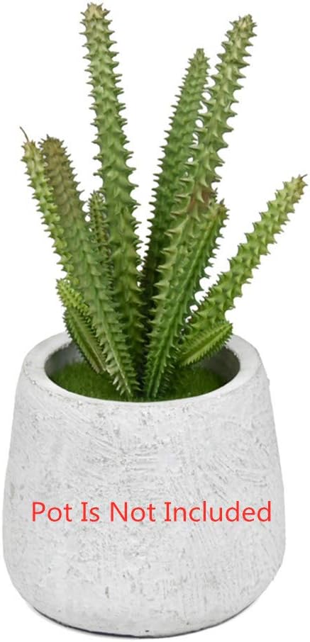 2 PCS Mini Artificial Succulents Plants Unpotted Faux Cactus Fake Succulent Bouquet Arrangements Faux Plants DIY for Garden Decor Home Decoration Greenery Set (Mini Cactus)