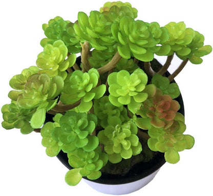 2 PCS Mini Artificial Succulents Plants Unpotted Faux Cactus Fake Succulent Bouquet Arrangements Faux Plants DIY for Garden Decor Home Decoration Greenery Set (Mini Cactus)