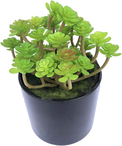 2 PCS Mini Artificial Succulents Plants Unpotted Faux Cactus Fake Succulent Bouquet Arrangements Faux Plants DIY for Garden Decor Home Decoration Greenery Set (Mini Cactus)