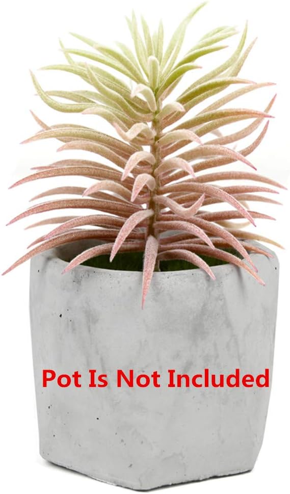 2 PCS Mini Artificial Succulents Plants Unpotted Faux Cactus Fake Succulent Bouquet Arrangements Faux Plants DIY for Garden Decor Home Decoration Greenery Set (Mini Cactus)