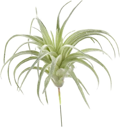 2 PCS Mini Artificial Succulents Plants Unpotted Faux Cactus Fake Succulent Bouquet Arrangements Faux Plants DIY for Garden Decor Home Decoration Greenery Set (Mini Cactus)