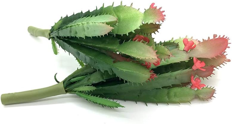 2 PCS Mini Artificial Succulents Plants Unpotted Faux Cactus Fake Succulent Bouquet Arrangements Faux Plants DIY for Garden Decor Home Decoration Greenery Set (Mini Cactus)