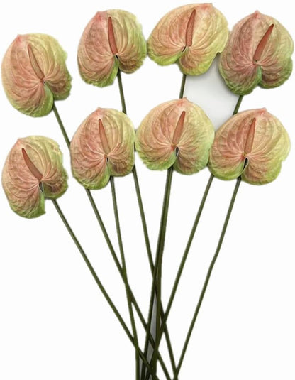 8pcs Artificial Anthurium Flowers Lifelike Flower 5.5" Head for Table Centerpieces Bridal Wedding Festival Christmas Hotel Home Floral Decor (champagn)