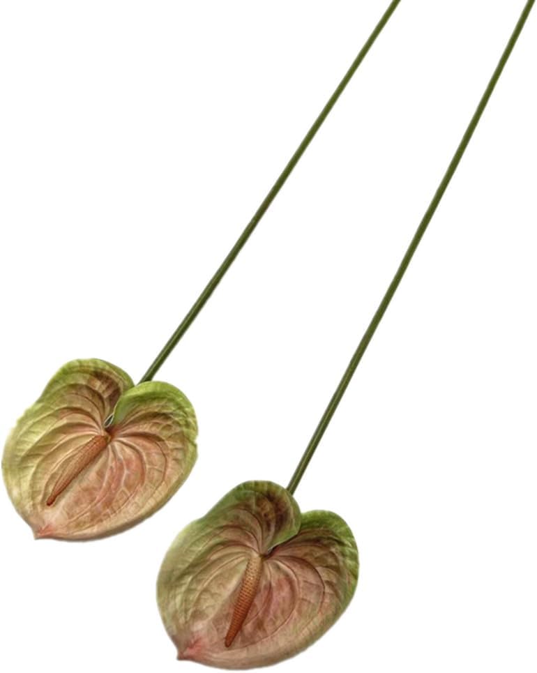 8pcs Artificial Anthurium Flowers Lifelike Flower 5.5" Head for Table Centerpieces Bridal Wedding Festival Christmas Hotel Home Floral Decor (champagn)
