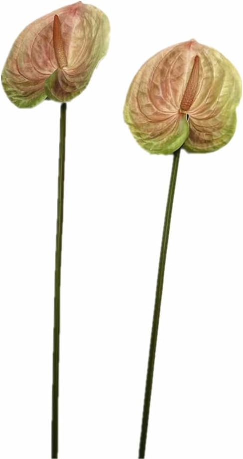8pcs Artificial Anthurium Flowers Lifelike Flower 5.5" Head for Table Centerpieces Bridal Wedding Festival Christmas Hotel Home Floral Decor (champagn)