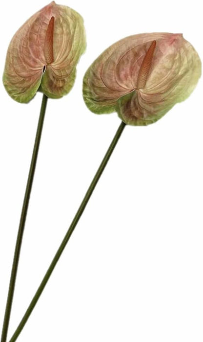 8pcs Artificial Anthurium Flowers Lifelike Flower 5.5" Head for Table Centerpieces Bridal Wedding Festival Christmas Hotel Home Floral Decor (champagn)