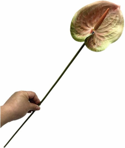 8pcs Artificial Anthurium Flowers Lifelike Flower 5.5" Head for Table Centerpieces Bridal Wedding Festival Christmas Hotel Home Floral Decor (champagn)