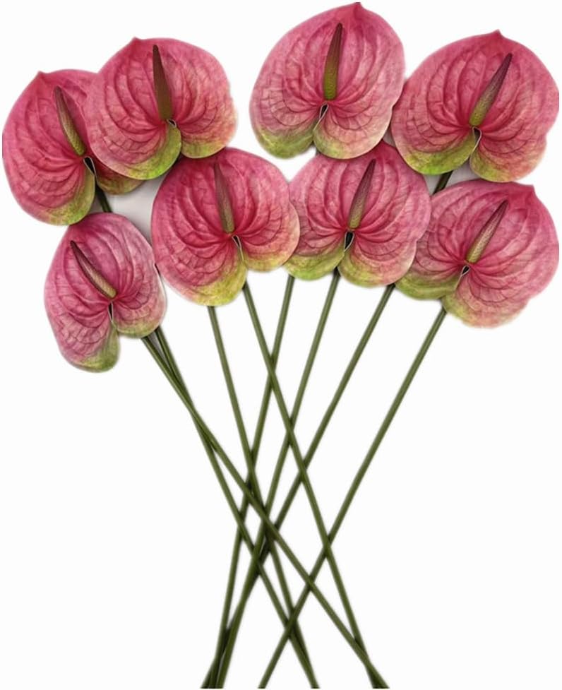 8pcs Artificial Anthurium Flowers Lifelike Flower 5.5" Head for Table Centerpieces Bridal Wedding Festival Christmas Hotel Home Floral Decor (champagn)