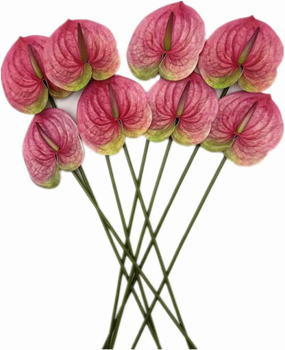 8pcs Artificial Anthurium Flowers Lifelike Flower 5.5" Head for Table Centerpieces Bridal Wedding Festival Christmas Hotel Home Floral Decor (champagn)