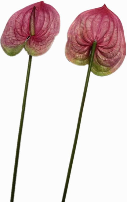 8pcs Artificial Anthurium Flowers Lifelike Flower 5.5" Head for Table Centerpieces Bridal Wedding Festival Christmas Hotel Home Floral Decor (champagn)