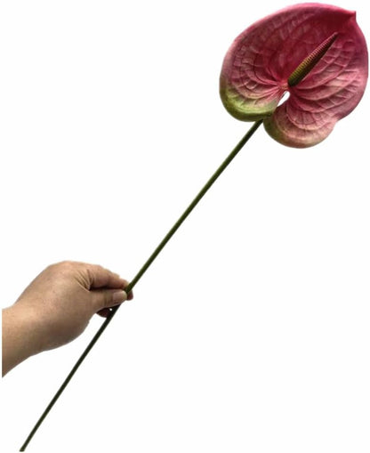 8pcs Artificial Anthurium Flowers Lifelike Flower 5.5" Head for Table Centerpieces Bridal Wedding Festival Christmas Hotel Home Floral Decor (champagn)
