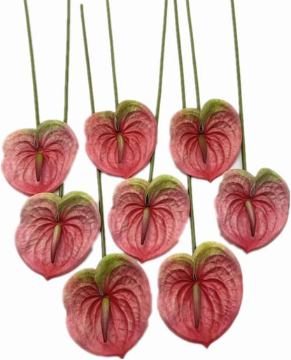 8pcs Artificial Anthurium Flowers Lifelike Flower 5.5" Head for Table Centerpieces Bridal Wedding Festival Christmas Hotel Home Floral Decor (champagn)