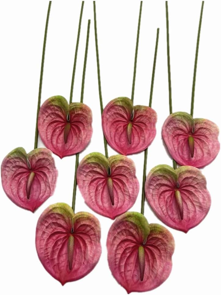 8pcs Artificial Anthurium Flowers Lifelike Flower 5.5" Head for Table Centerpieces Bridal Wedding Festival Christmas Hotel Home Floral Decor (champagn)