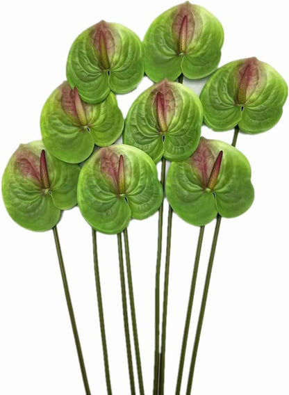 8pcs Artificial Anthurium Flowers Lifelike Flower 5.5" Head for Table Centerpieces Bridal Wedding Festival Christmas Hotel Home Floral Decor (champagn)