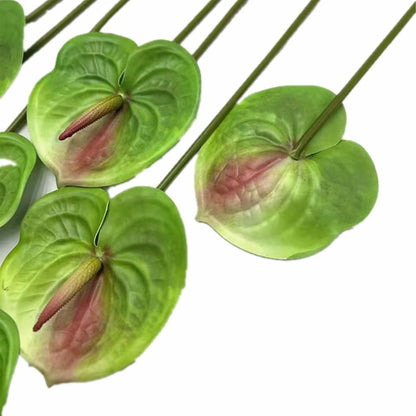 8pcs Artificial Anthurium Flowers Lifelike Flower 5.5" Head for Table Centerpieces Bridal Wedding Festival Christmas Hotel Home Floral Decor (champagn)