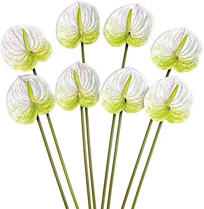 8pcs Artificial Anthurium Flowers Lifelike Flower 5.5" Head for Table Centerpieces Bridal Wedding Festival Christmas Hotel Home Floral Decor (champagn)