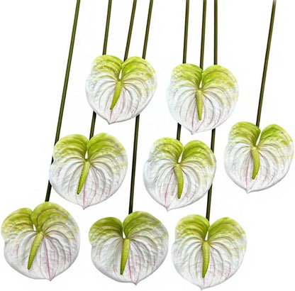 8pcs Artificial Anthurium Flowers Lifelike Flower 5.5" Head for Table Centerpieces Bridal Wedding Festival Christmas Hotel Home Floral Decor (champagn)