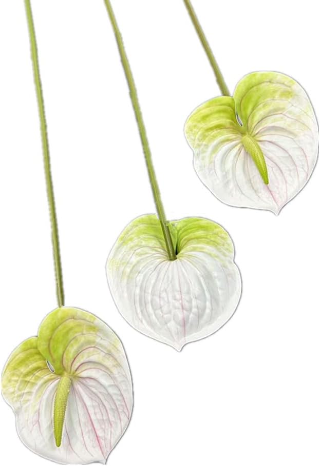 8pcs Artificial Anthurium Flowers Lifelike Flower 5.5" Head for Table Centerpieces Bridal Wedding Festival Christmas Hotel Home Floral Decor (champagn)