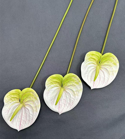 8pcs Artificial Anthurium Flowers Lifelike Flower 5.5" Head for Table Centerpieces Bridal Wedding Festival Christmas Hotel Home Floral Decor (champagn)