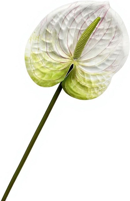 8pcs Artificial Anthurium Flowers Lifelike Flower 5.5" Head for Table Centerpieces Bridal Wedding Festival Christmas Hotel Home Floral Decor (champagn)