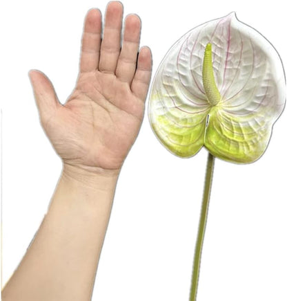 8pcs Artificial Anthurium Flowers Lifelike Flower 5.5" Head for Table Centerpieces Bridal Wedding Festival Christmas Hotel Home Floral Decor (champagn)