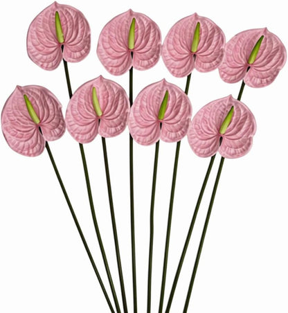 8pcs Artificial Anthurium Flowers Lifelike Flower 5.5" Head for Table Centerpieces Bridal Wedding Festival Christmas Hotel Home Floral Decor (champagn)