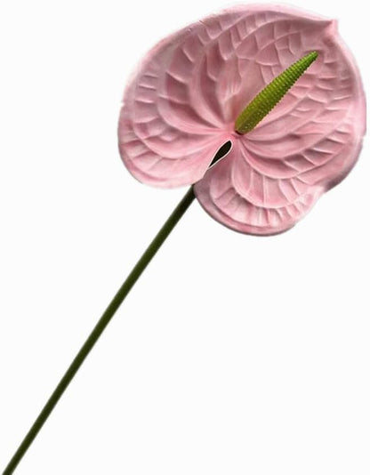 8pcs Artificial Anthurium Flowers Lifelike Flower 5.5" Head for Table Centerpieces Bridal Wedding Festival Christmas Hotel Home Floral Decor (champagn)