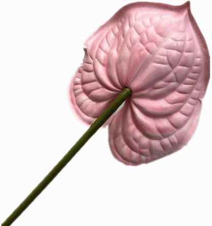8pcs Artificial Anthurium Flowers Lifelike Flower 5.5" Head for Table Centerpieces Bridal Wedding Festival Christmas Hotel Home Floral Decor (champagn)