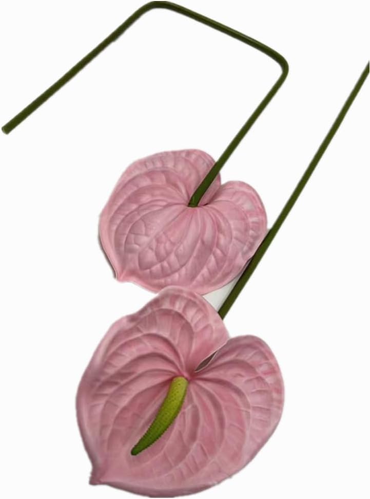 8pcs Artificial Anthurium Flowers Lifelike Flower 5.5" Head for Table Centerpieces Bridal Wedding Festival Christmas Hotel Home Floral Decor (champagn)
