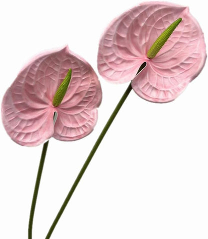8pcs Artificial Anthurium Flowers Lifelike Flower 5.5" Head for Table Centerpieces Bridal Wedding Festival Christmas Hotel Home Floral Decor (champagn)