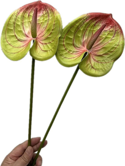 8pcs Artificial Anthurium Flowers Lifelike Flower 5.5" Head for Table Centerpieces Bridal Wedding Festival Christmas Hotel Home Floral Decor (champagn)