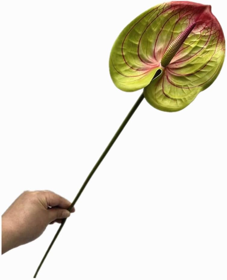 8pcs Artificial Anthurium Flowers Lifelike Flower 5.5" Head for Table Centerpieces Bridal Wedding Festival Christmas Hotel Home Floral Decor (champagn)