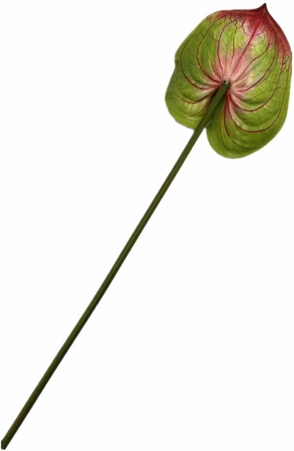 8pcs Artificial Anthurium Flowers Lifelike Flower 5.5" Head for Table Centerpieces Bridal Wedding Festival Christmas Hotel Home Floral Decor (champagn)