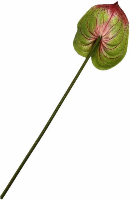 8pcs Artificial Anthurium Flowers Lifelike Flower 5.5" Head for Table Centerpieces Bridal Wedding Festival Christmas Hotel Home Floral Decor (champagn)