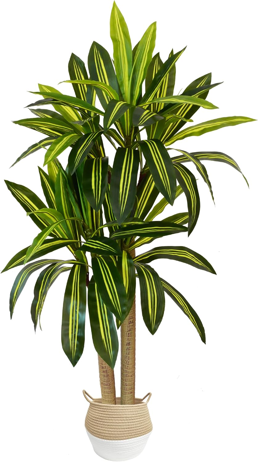 Fake Dracaena Tree 5ft Tall Artificial Plant with Woven Basket