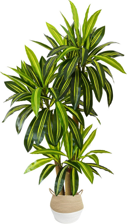 Fake Dracaena Tree 5ft Tall Artificial Plant with Woven Basket