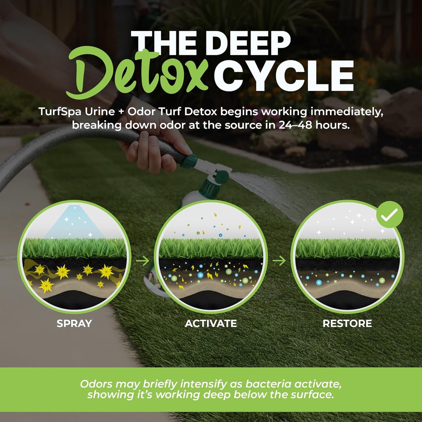 Urine & Odor Turf Detox: 32 oz Mango Scented Professional Enzyme Cleaner & Odor Eliminator for Artificial Grass, Turf, Concrete & Patios, Pet Urine Enzymatic Cleaner for Dogs & Cats