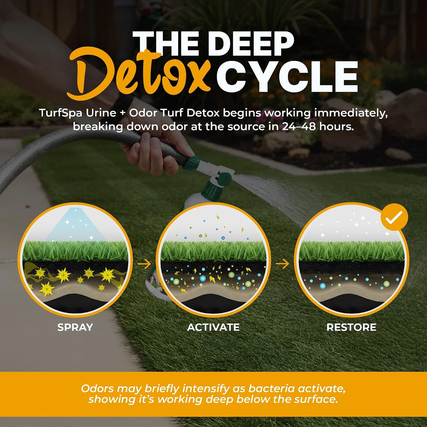 Urine & Odor Turf Detox: 32 oz Mango Scented Professional Enzyme Cleaner & Odor Eliminator for Artificial Grass, Turf, Concrete & Patios, Pet Urine Enzymatic Cleaner for Dogs & Cats