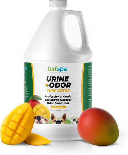 Urine & Odor Turf Detox: 32 oz Mango Scented Professional Enzyme Cleaner & Odor Eliminator for Artificial Grass, Turf, Concrete & Patios, Pet Urine Enzymatic Cleaner for Dogs & Cats