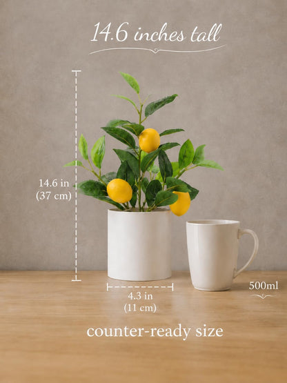 Faux Lemon Tree for Kitchen Decor, 14.6 Inch Fake Lemon Citrus Tree with White Pot, Artificial Plant Indoor for Home Office Desk