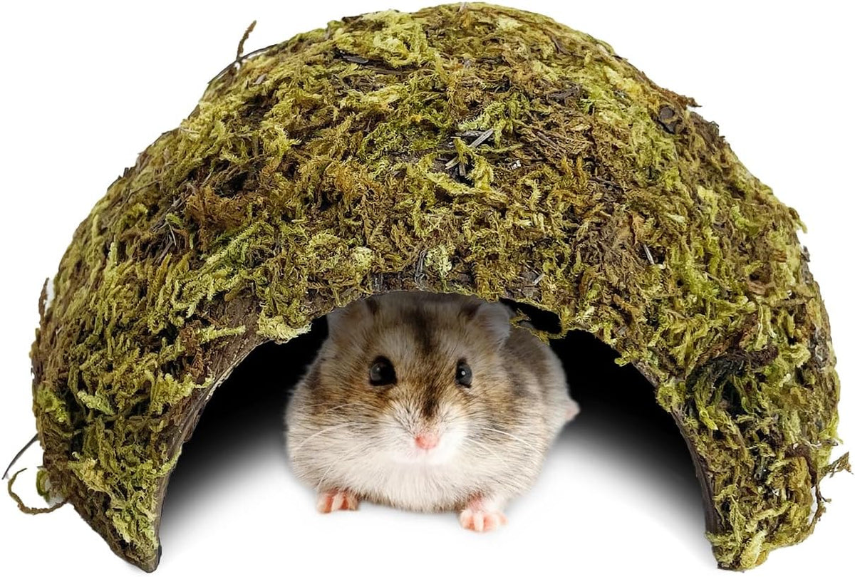 Hamster Hideout Natural Mossy Cave Hamster Houses and Hideouts Moss Covered Coconut Enclosed Hiding Hut for Mice Habitat Hamster Cage Accessories for Dwarf Gerbil Syrian Fancy Mouse