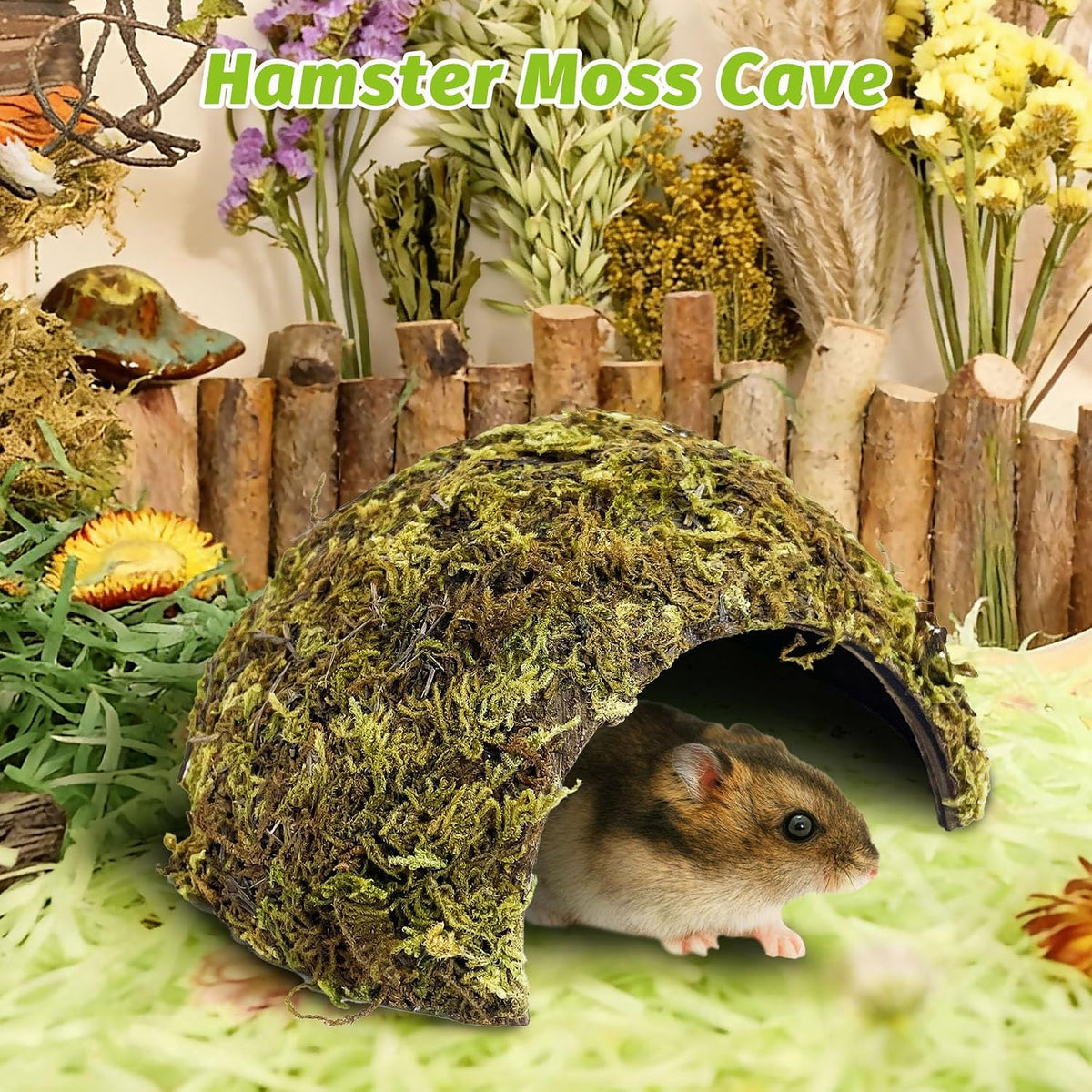 Hamster Hideout Natural Mossy Cave Hamster Houses and Hideouts Moss Covered Coconut Enclosed Hiding Hut for Mice Habitat Hamster Cage Accessories for Dwarf Gerbil Syrian Fancy Mouse